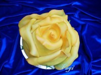 /album/fenykepgaleria/m-20121111112927-pb100003-jpg/