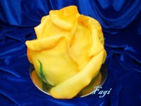 /album/fenykepgaleria/m-20121111112943-pb100004-jpg/