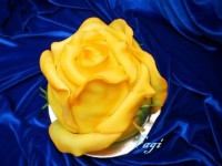 /album/fenykepgaleria/m-20121111112956-pb100022-jpg/