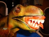 /album/fenykepgaleria/p3130013-jpg/