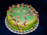 /album/fenykepgaleria/p3240060-jpg/