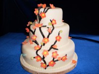 /album/fenykepgaleria/p6210018-jpg/