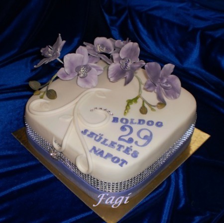 Orchidea torta